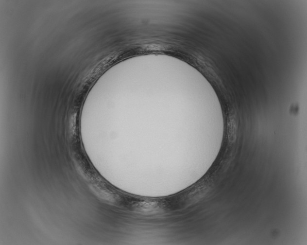 X0000116110406200912211637