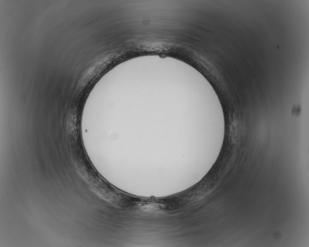 X0000116110407200912211637