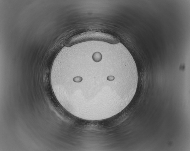 X0000116110408200912211637