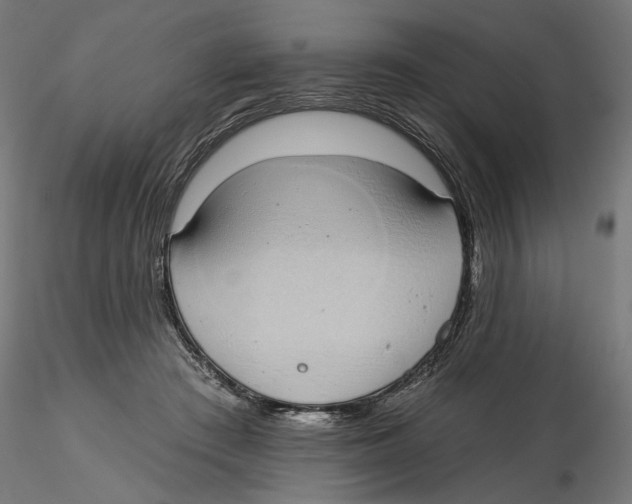 X0000116110409200912211637