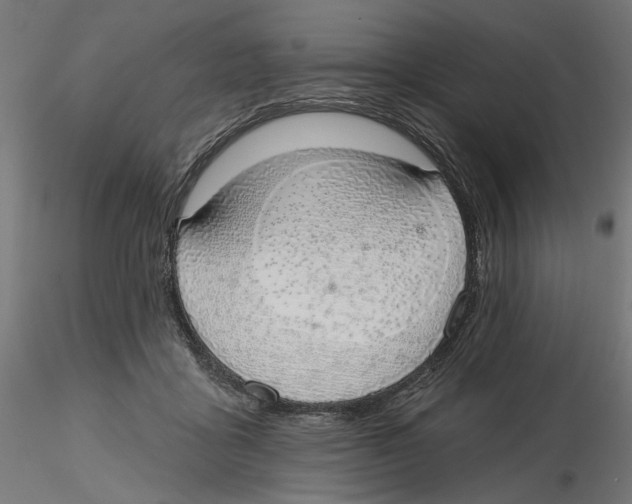 X0000116110411200912211637
