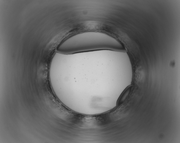 X0000116110413200912211637