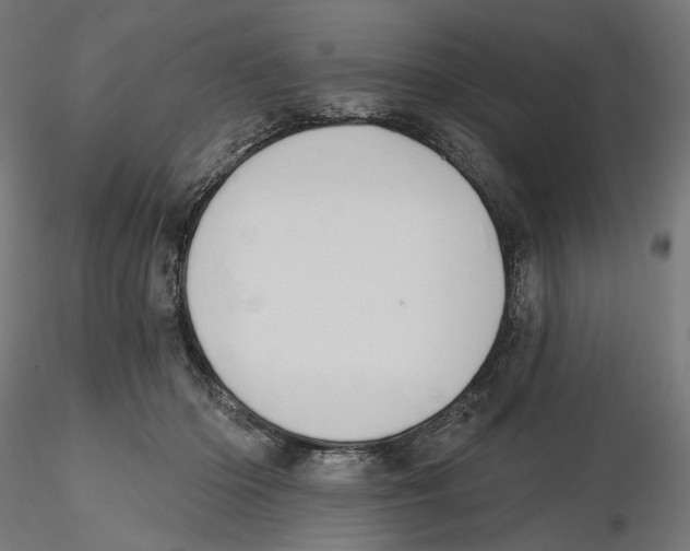 X0000116110414200912211637