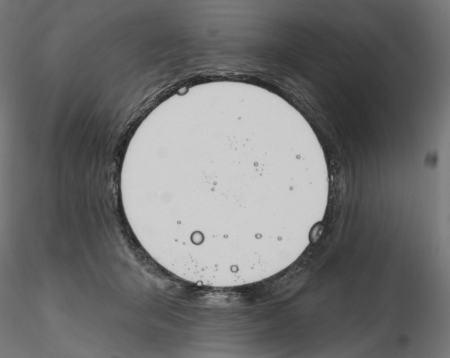 X0000116110415200912211637