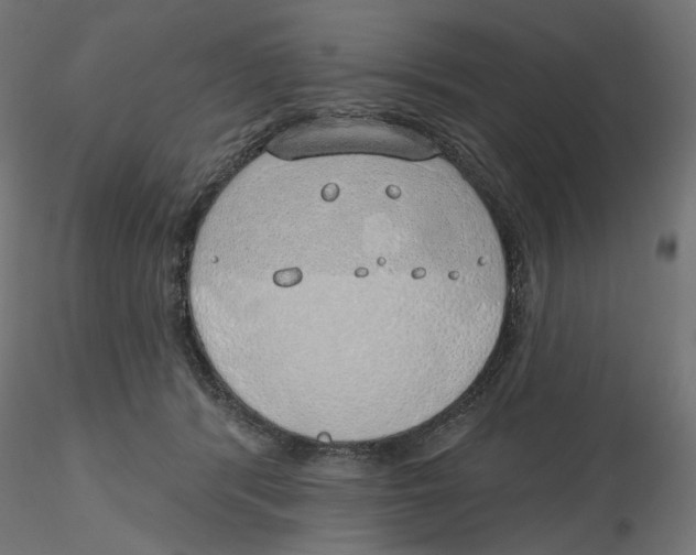 X0000116110416200912211637