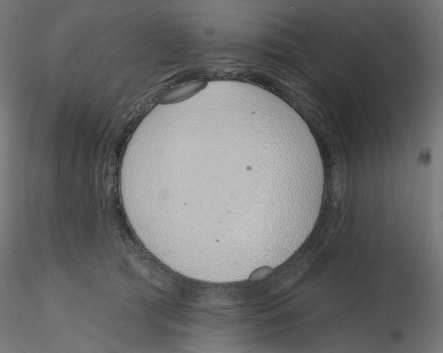 X0000116110417200912211637