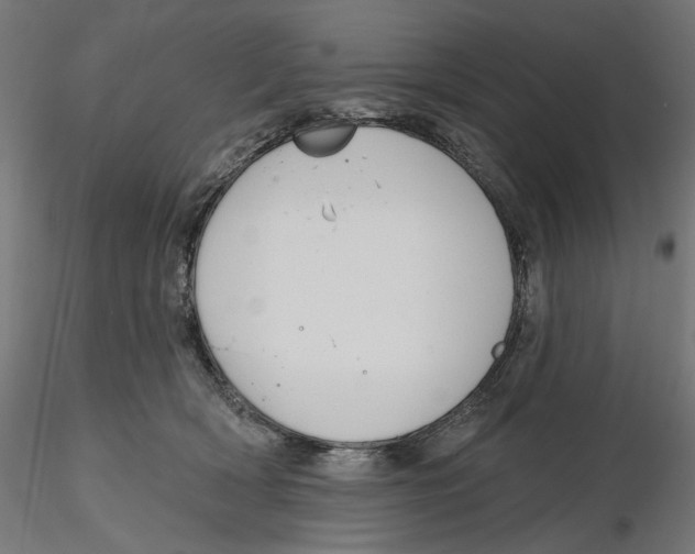 X0000116110418200912211637