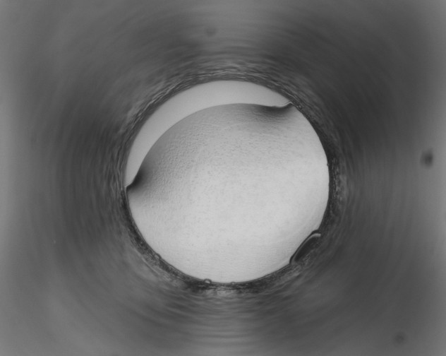 X0000116110419200912211637