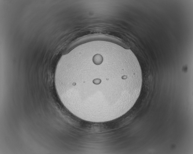 X0000116110420200912211637