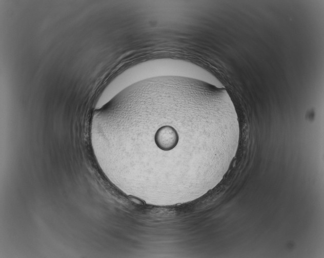 X0000116110421200912211636
