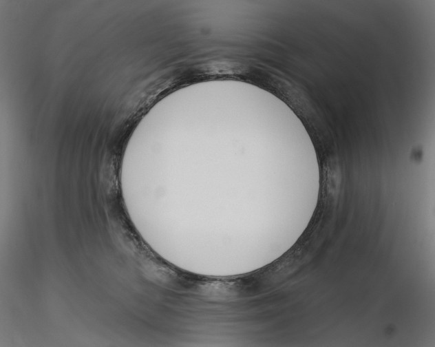 X0000116110422200912211636