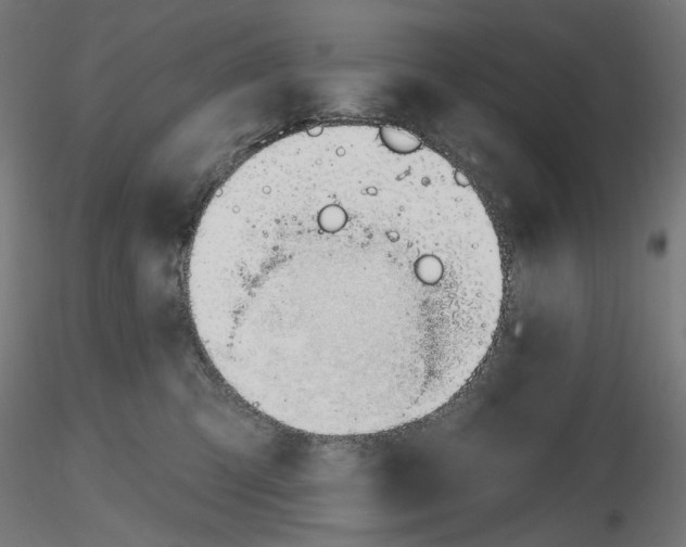 X0000116110423200912211636