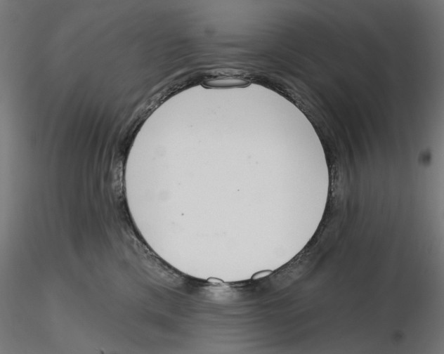 X0000116110425200912211636