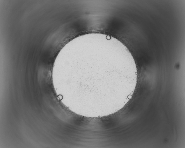 X0000116110427200912211636
