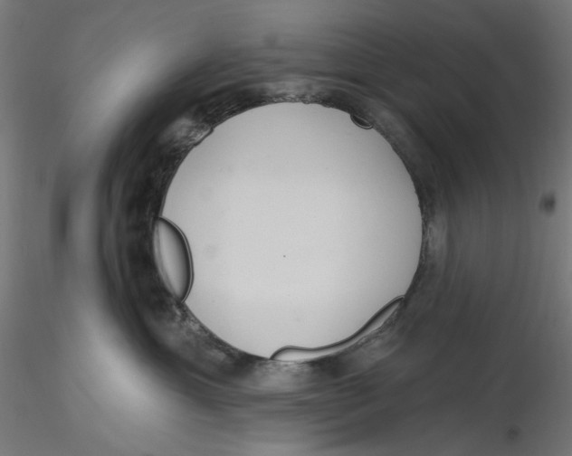 X0000116110429200912211636