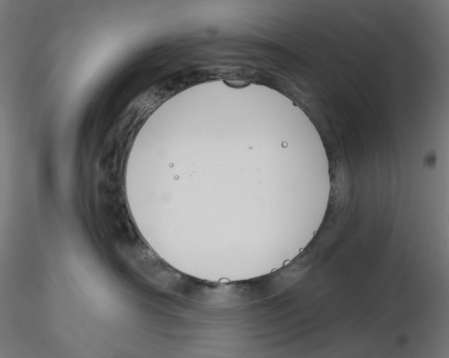 X0000116110430200912211636