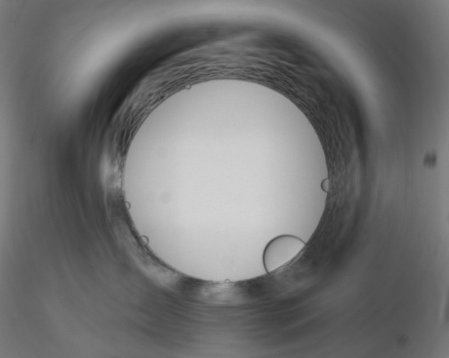 X0000116110431200912211636