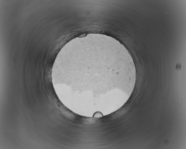 X0000116110432200912211636