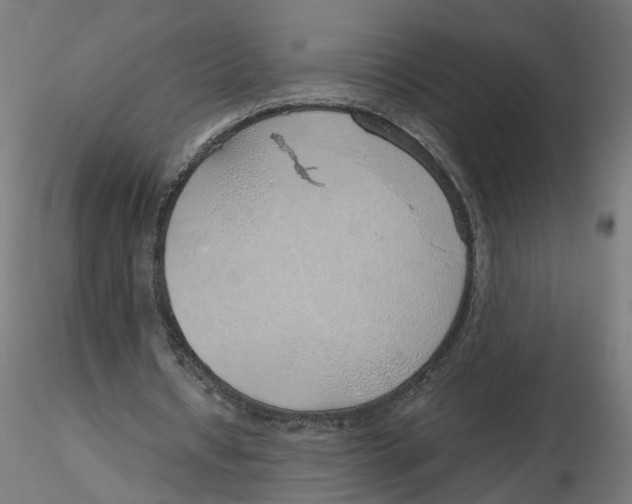 X0000116110434200912211636
