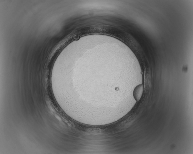 X0000116110435200912211636