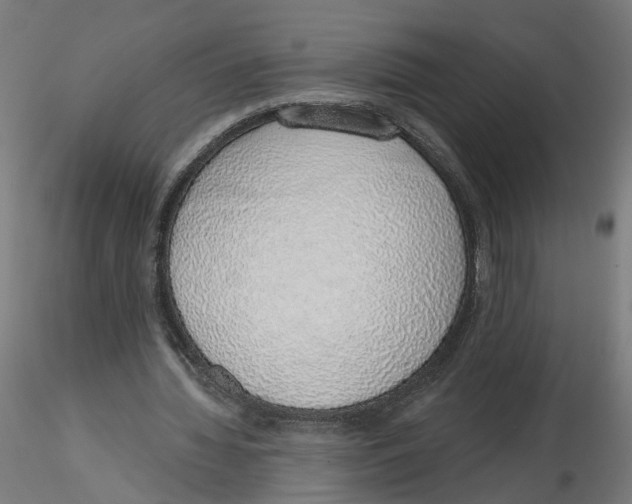 X0000116110436200912211636