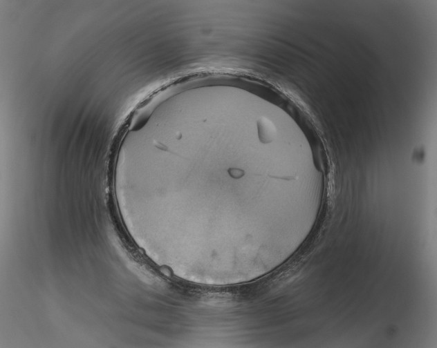 X0000116110438200912211636