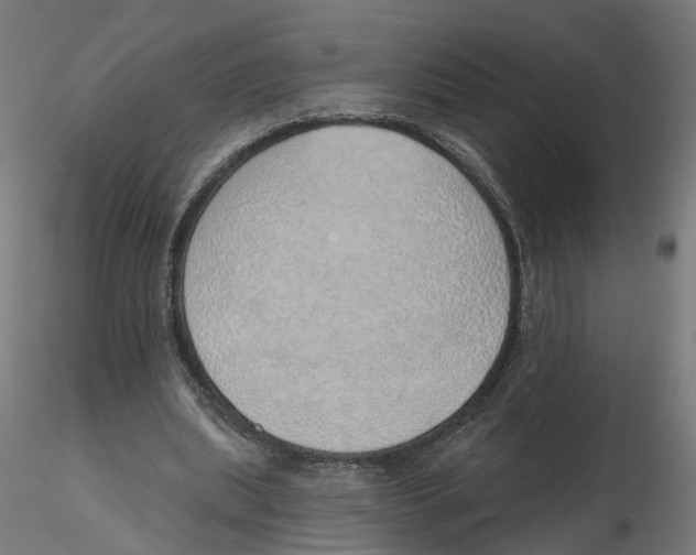 X0000116110439200912211636