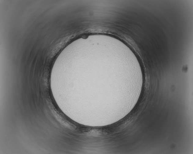 X0000116110441200912211636