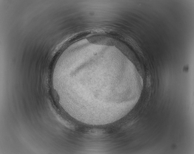 X0000116110444200912211636