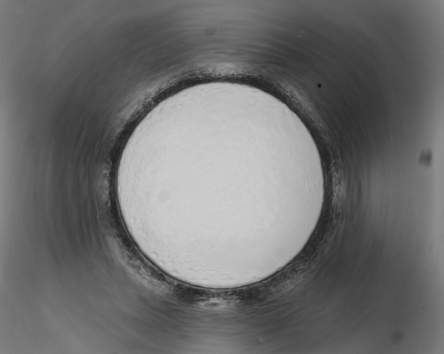 X0000116110447200912211636