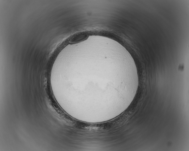 X0000116110448200912211636