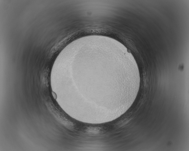 X0000116110450200912211636
