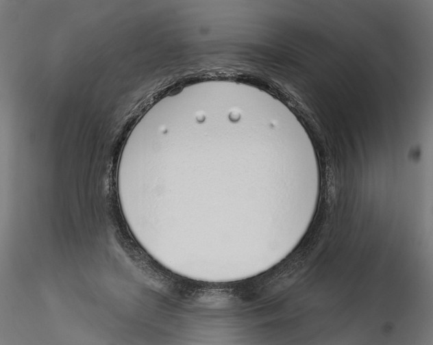 X0000116110451200912211636