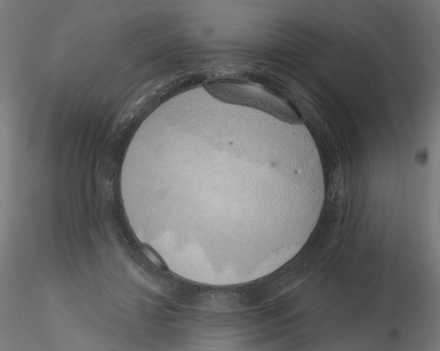 X0000116110452200912211636