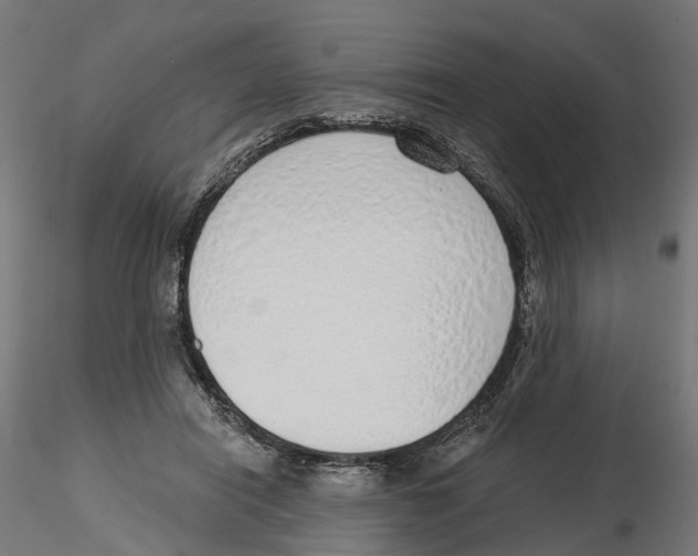X0000116110454200912211636