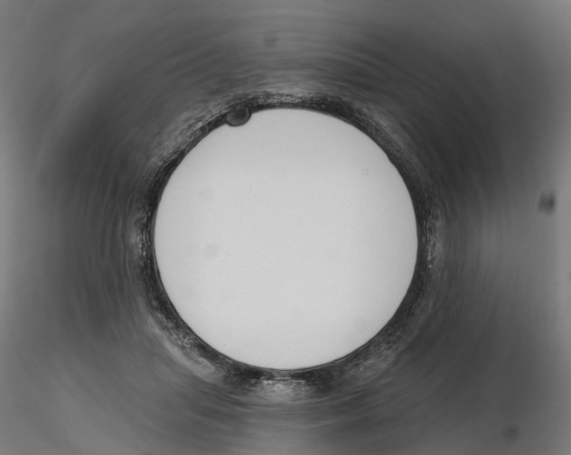 X0000116110455200912211636