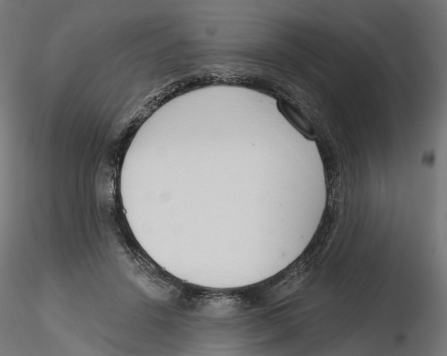 X0000116110456200912211636