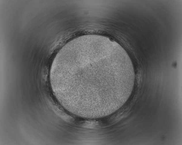 X0000116110458200912211636
