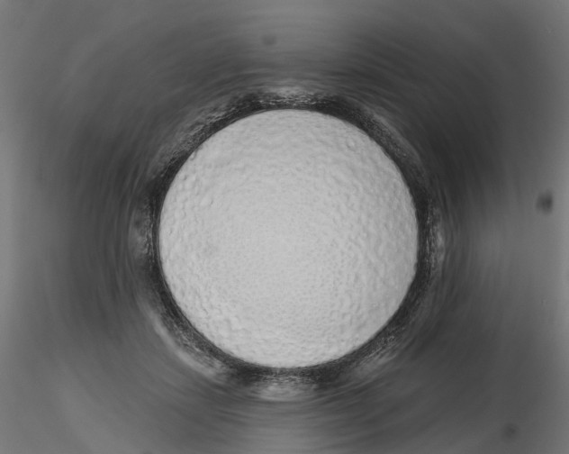 X0000116110459200912211636