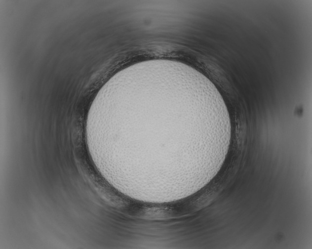 X0000116110461200912211636