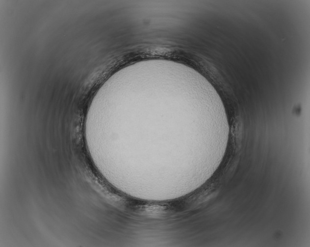 X0000116110462200912211636