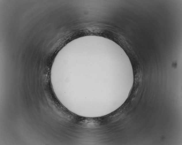 X0000116110464200912211636
