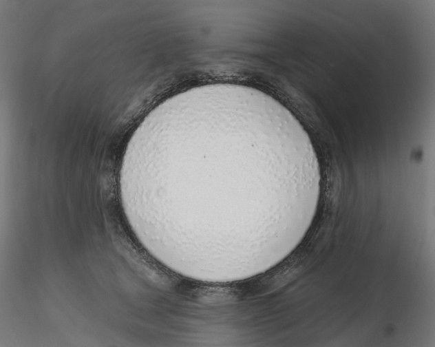 X0000116110465200912211636