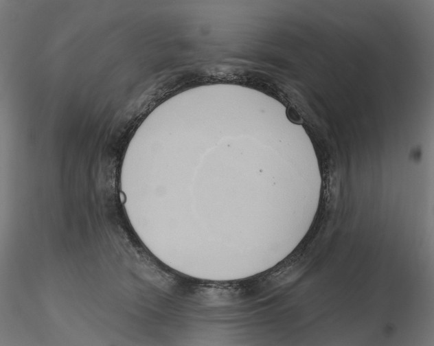 X0000116110466200912211636