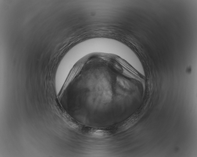 X0000116110467200912211636