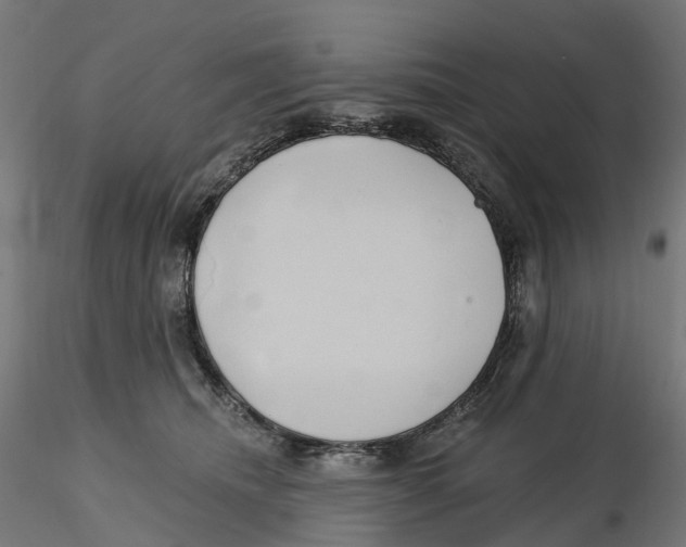 X0000116110468200912211636