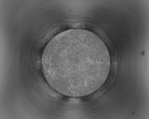 X0000116110469200912211636