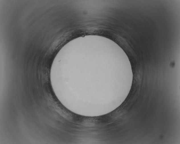 X0000116110470200912211636