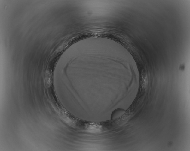 X0000116110471200912211636