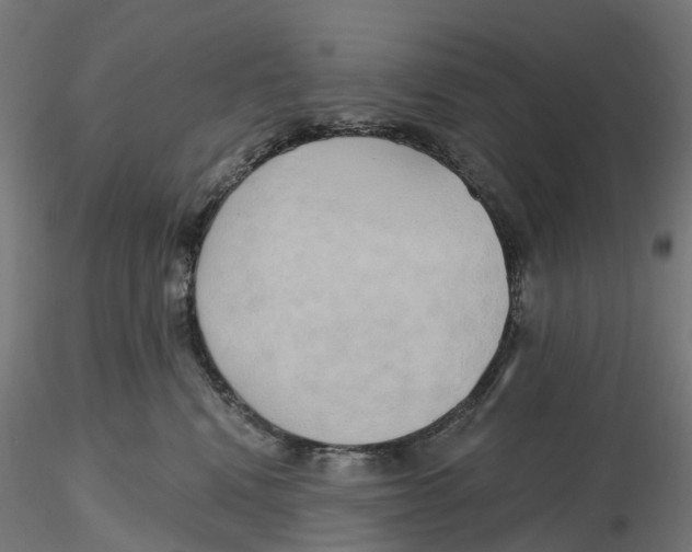 X0000116110472200912211636